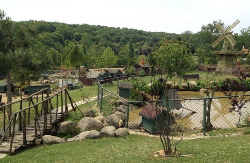 polonezkoy01.jpg