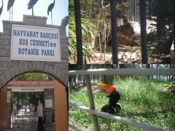Darıca Hayvanat Bahçesi