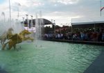 Bakırköy Botanik Park Nerede -Bakırköy Botanik Parka Nasıl Gidilir / İstanbul Bakırköy Botanik Park Nerede -Bakırköy Botanik Parka Nasıl Gidilir / İstanbul